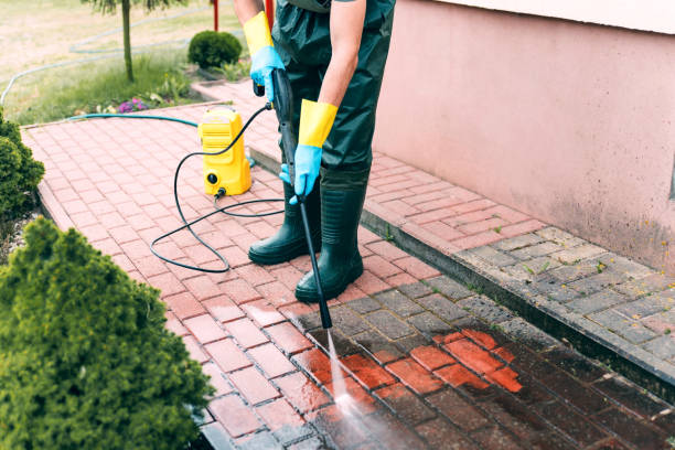 Best Fence Pressure Washing  in Lacon, IL