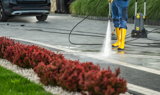 Best Deck Pressure Washing  in Lacon, IL